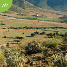 naturaleza Moj&aacute;car