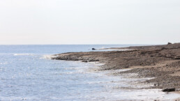Playas de Rumina y el Palmeral en Mojácar
